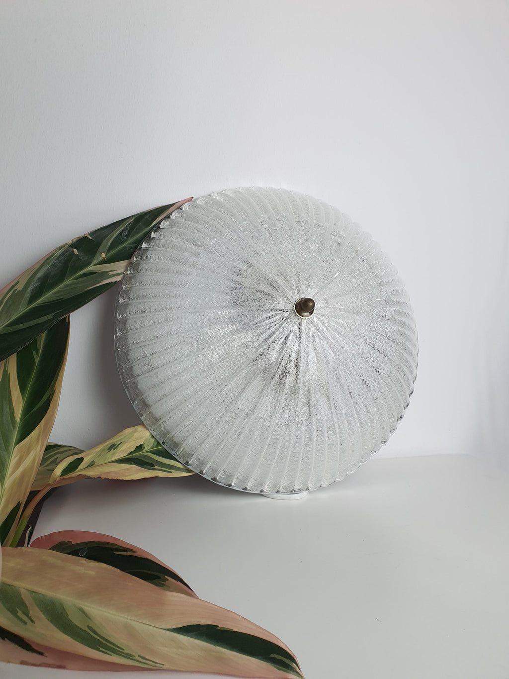 Friul Luce Vintage Floral Shell Flush Mount Light | Frosted Murano Glass Venetian Fixture
