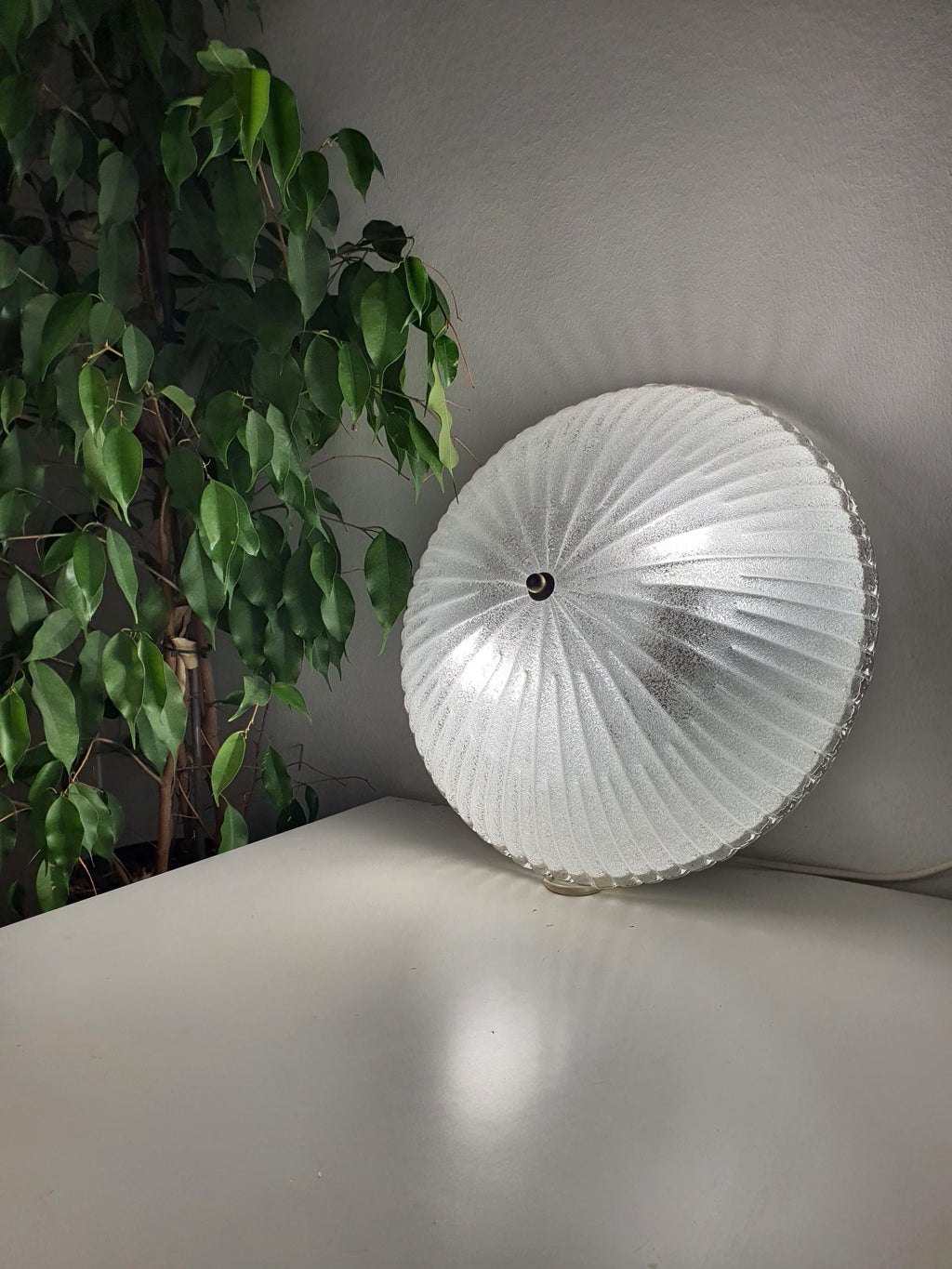 Vintage Murano ribbed shell flush mount from below, two E27 sockets, thick ribbed clear glass pattern