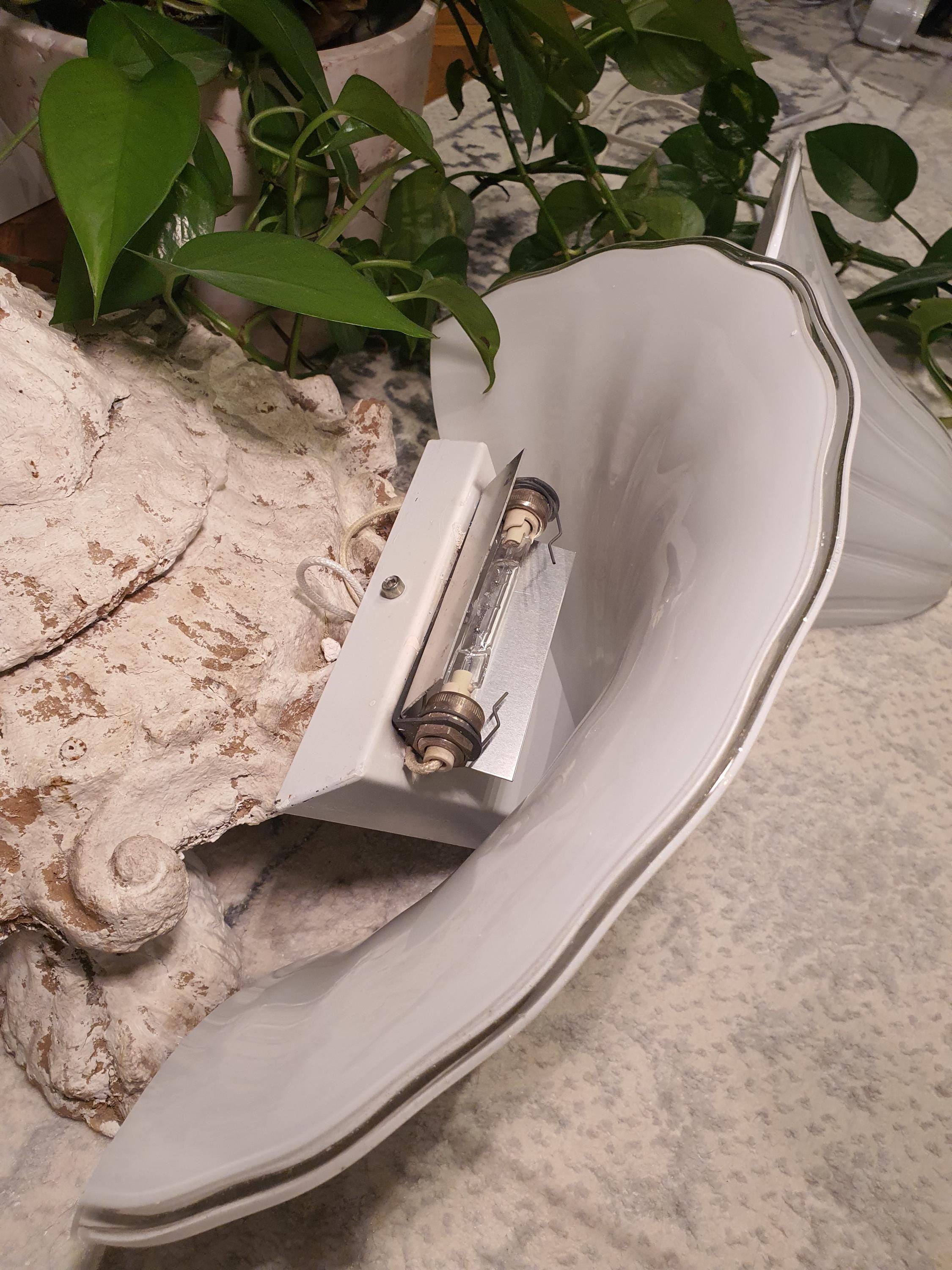 De Majo Vintage Murano Glass Wall Sconces: White Floral Shell Lights