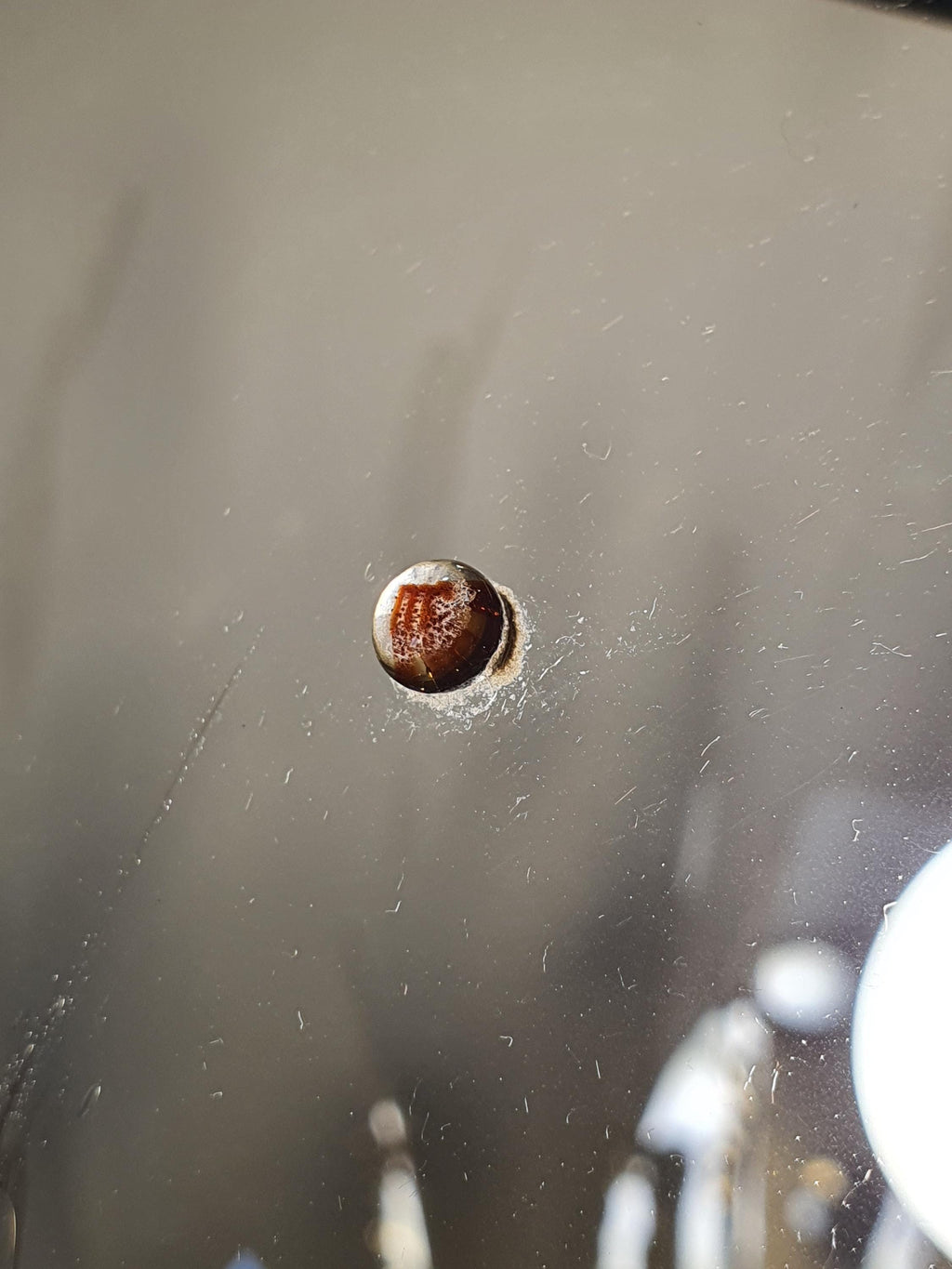 Large globe La Murrina caramel bubble pendant light in vintage Murano glass