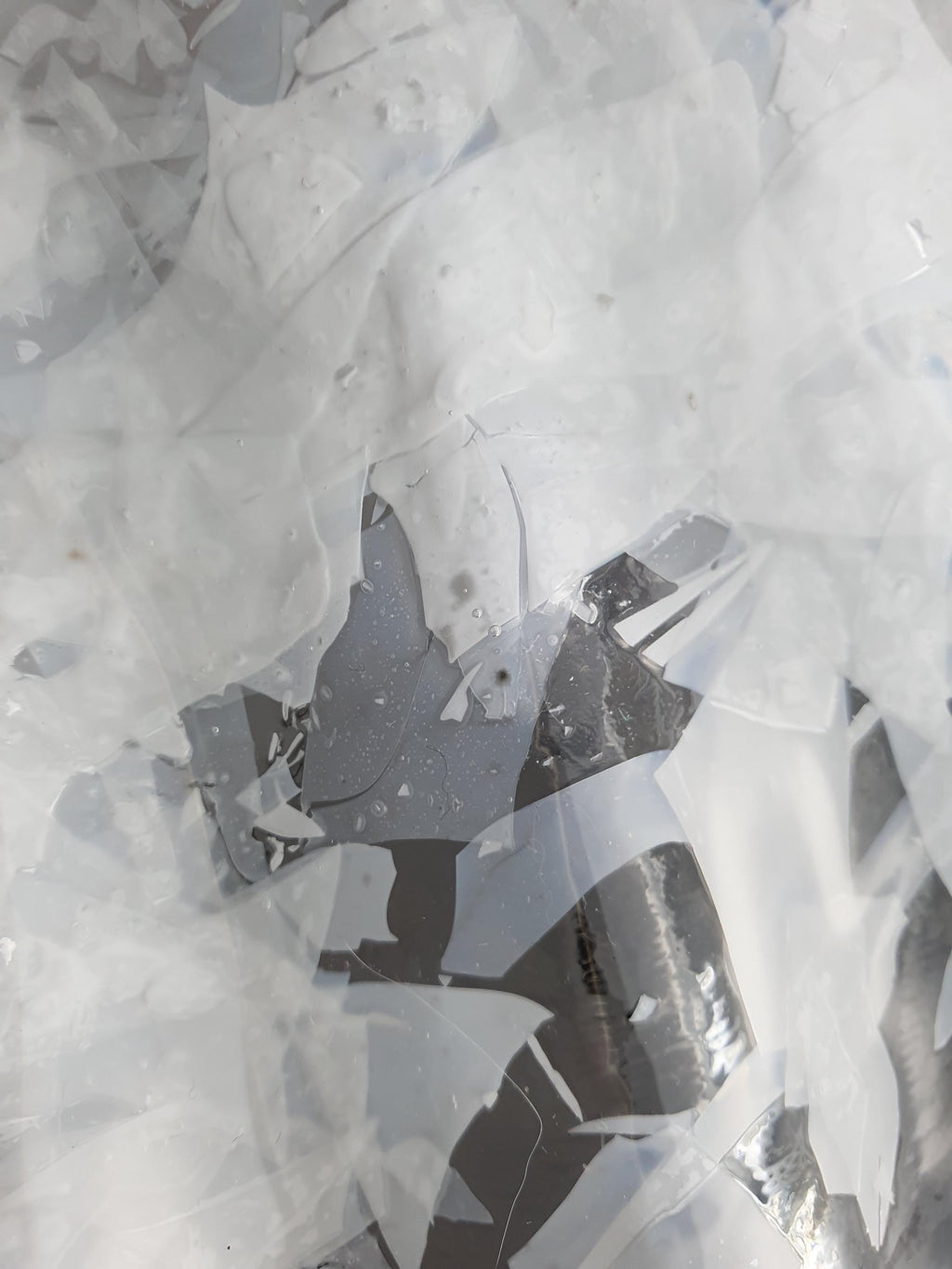 Close-up of white glass inclusions in clear Murano glass shell-form pendant shade, layered depth
