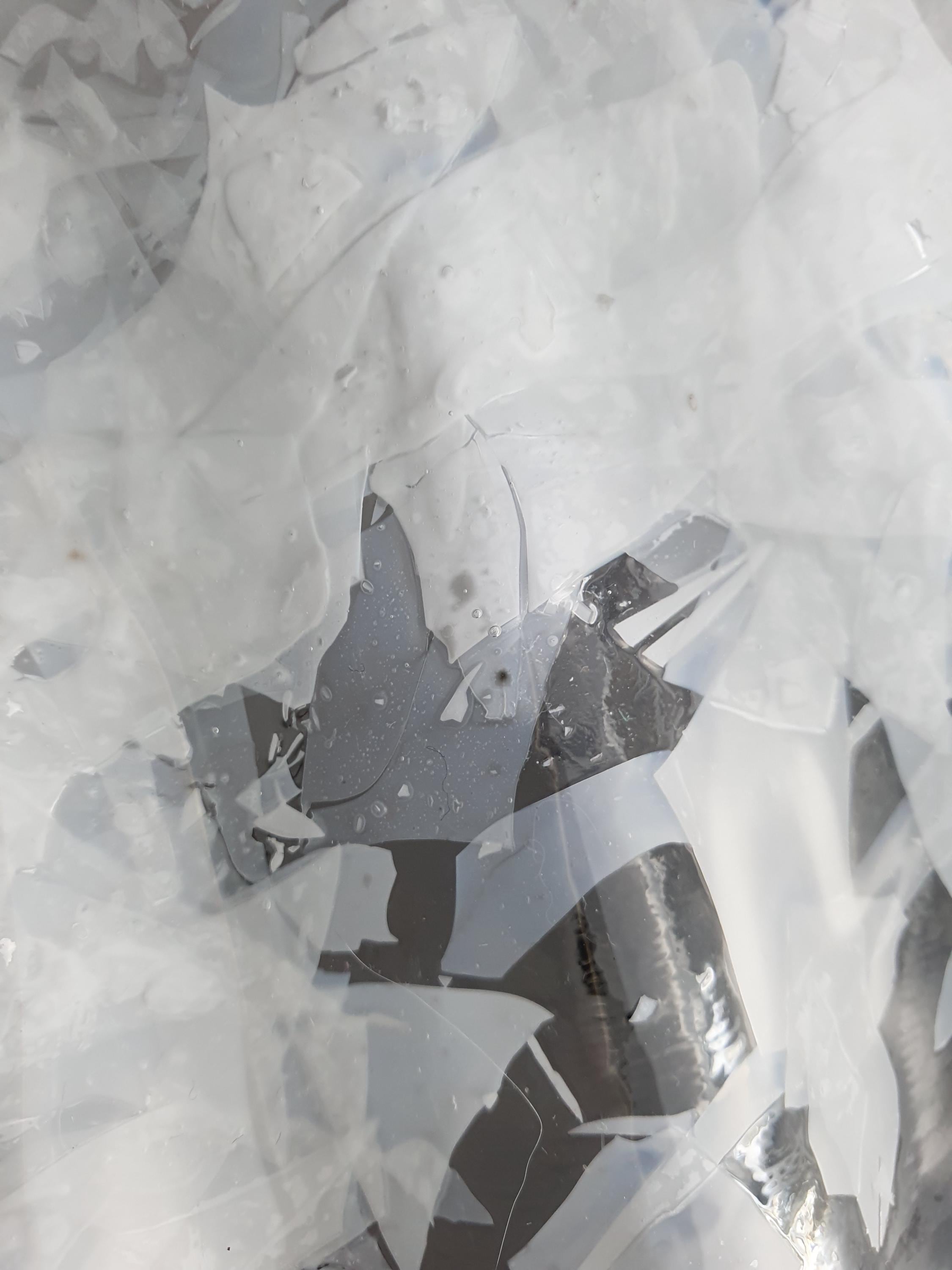 Close-up of white glass inclusions in clear Murano glass shell-form pendant shade, layered depth